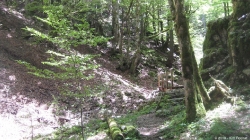 16.06.2013 - Chasseron 3