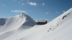24.05.2014 - Fluchthorn  3