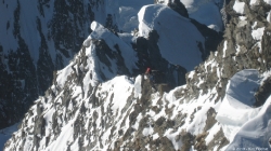 Täschhorn, 4491m - 01.08.2013