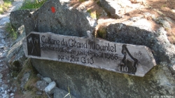 16.07.12 - Zinalrothorn 24