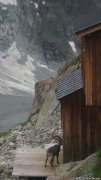 16.07.12 - Zinalrothorn 2